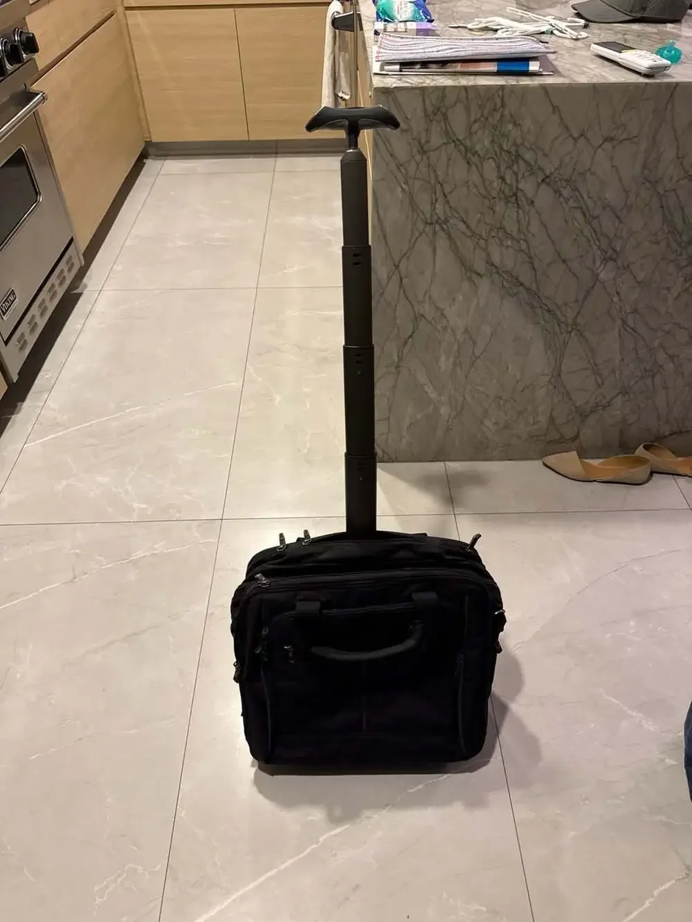Wenger SwissGear Patriot II Rolling Laptop Case with Warner Bros Logo